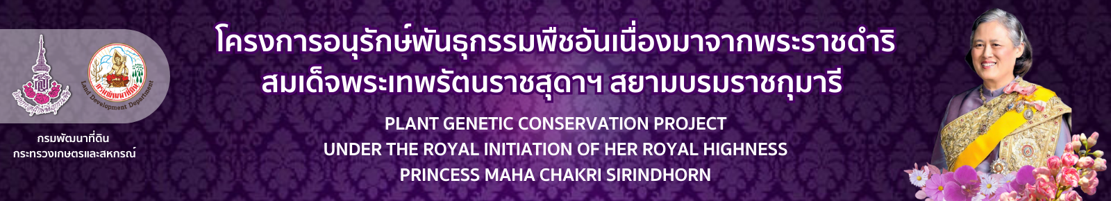 ปกเว็บไซต์ โครงการอนุรักษ์พันธุกรรมพืชอันเนื่องมาจากพระราชดำริ สมเด็จพระเทพรัตนราชสุดาฯ สยามบรมราชกุมารี