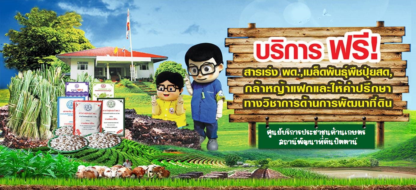 ปกเว็บไซต์ สถานีพัฒนาที่ดินปัตตานี