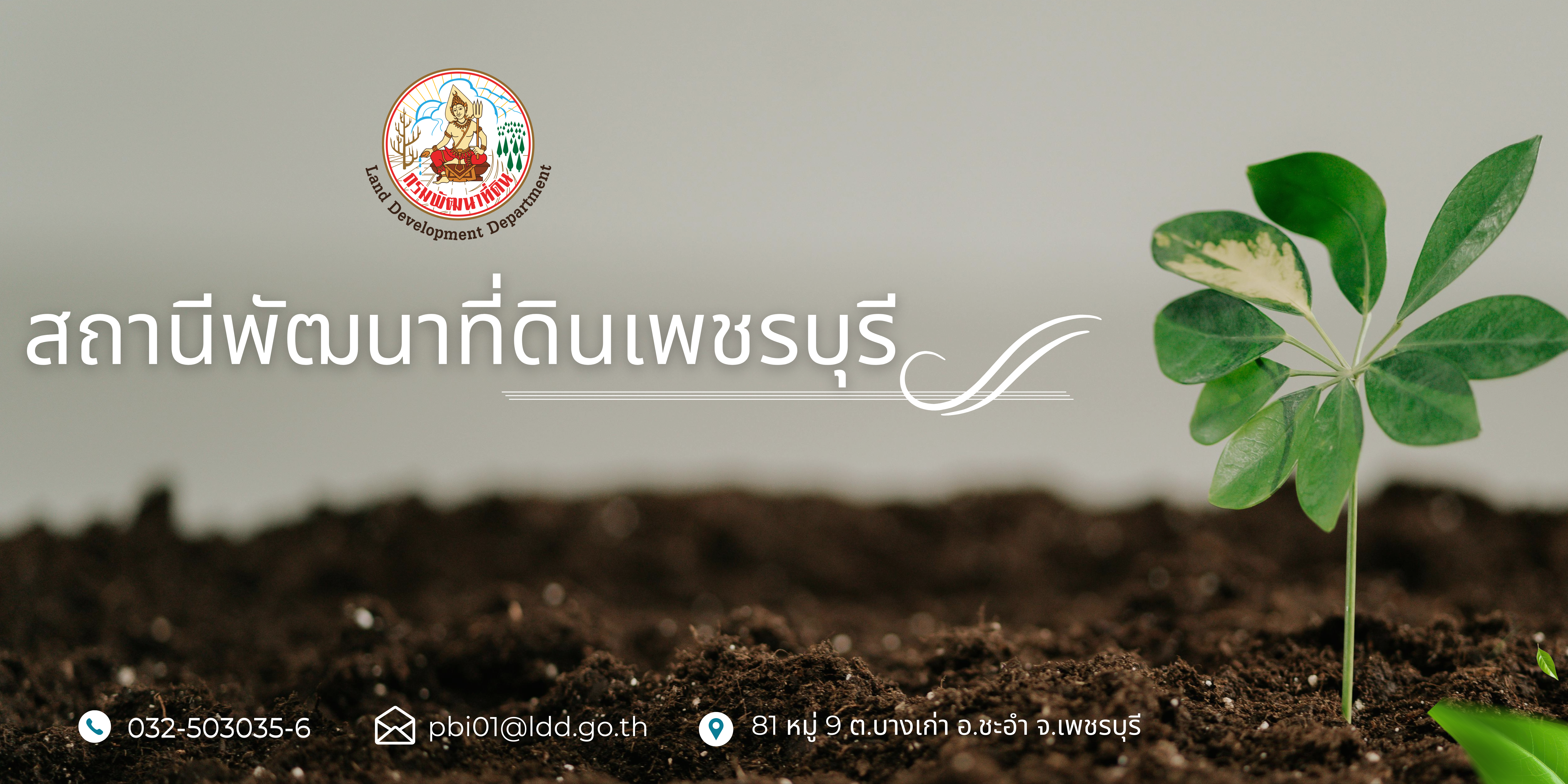 ปกเว็บไซต์ สถานีพัฒนาที่ดินเพชรบุรี