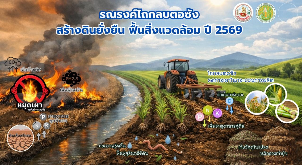 ภาพ รณรงค์ไถกลบตอซัง