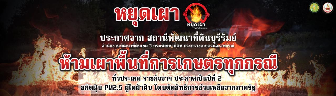 ภาพ หยุดเผาในพื้นที่การเกษตร