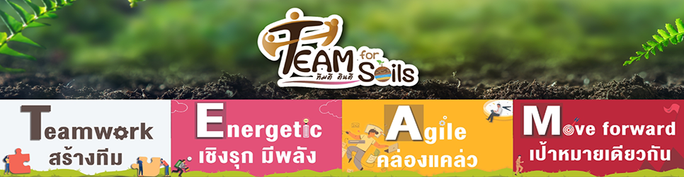 ภาพ Team-D