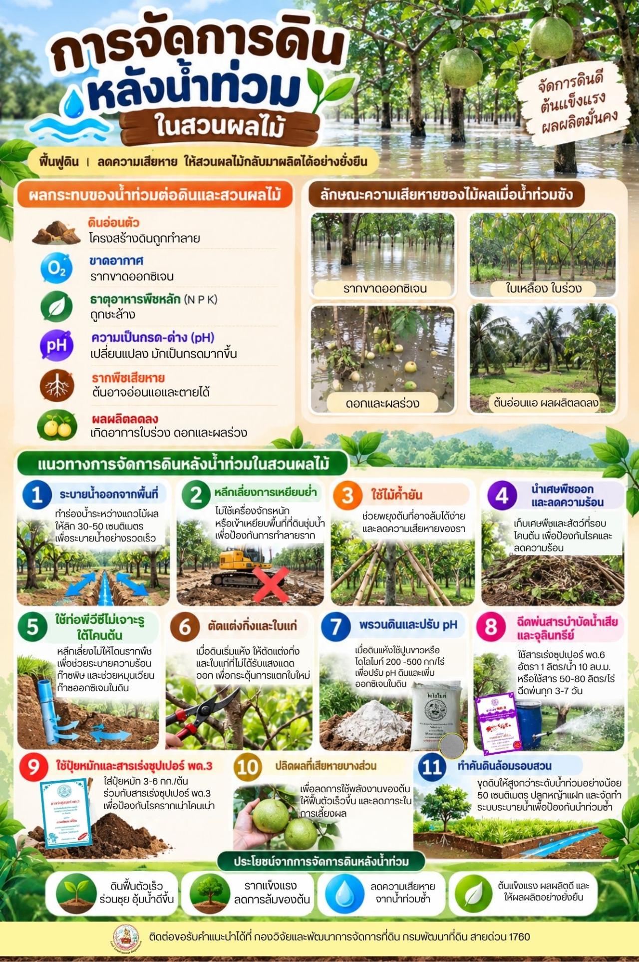 ภาพ แนวทางการจัดการพื้นที่หลังน้ำลด