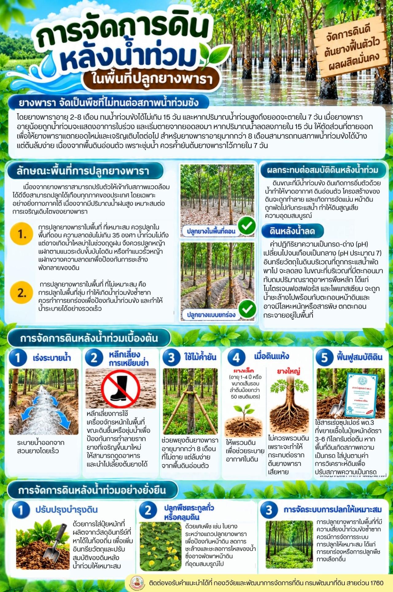 ภาพ แนวทางการจัดการพื้นที่หลังน้ำลด