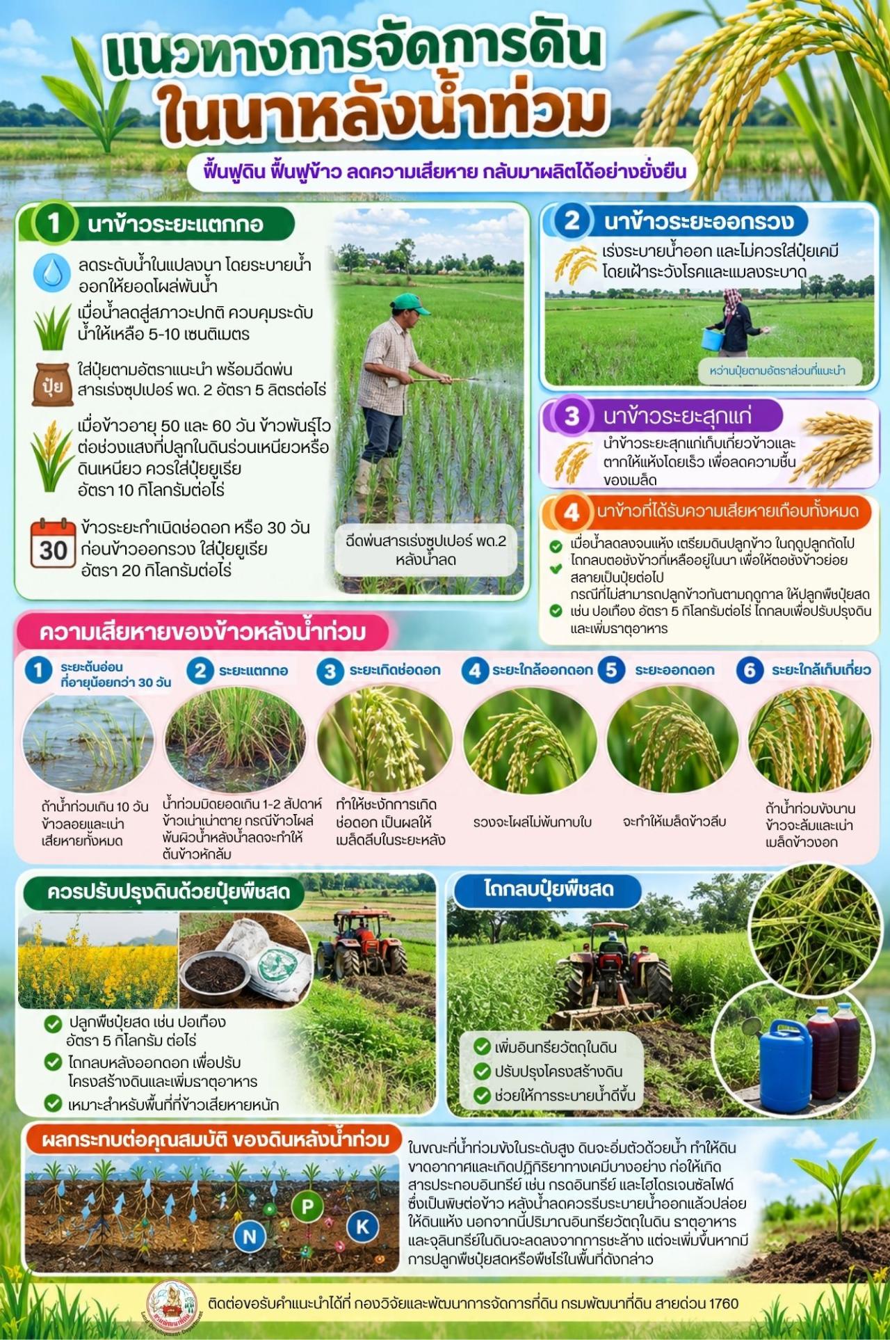 ภาพ แนวทางการจัดการพื้นที่หลังน้ำลด