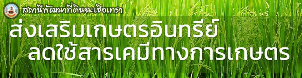 ภาพ ส่งเสริมเกษตรอินทรีย์