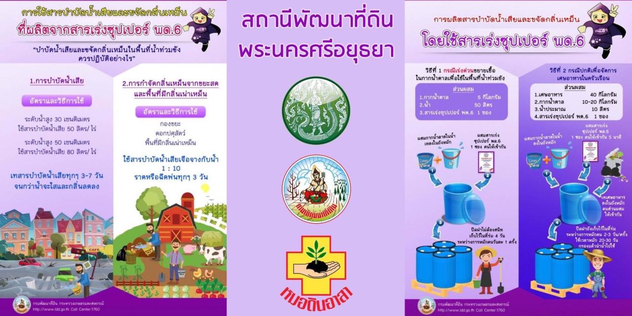 ภาพ พด.6 2