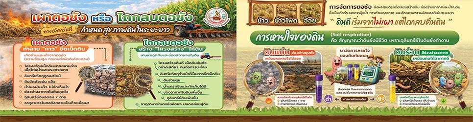 ภาพ หยุดเผา