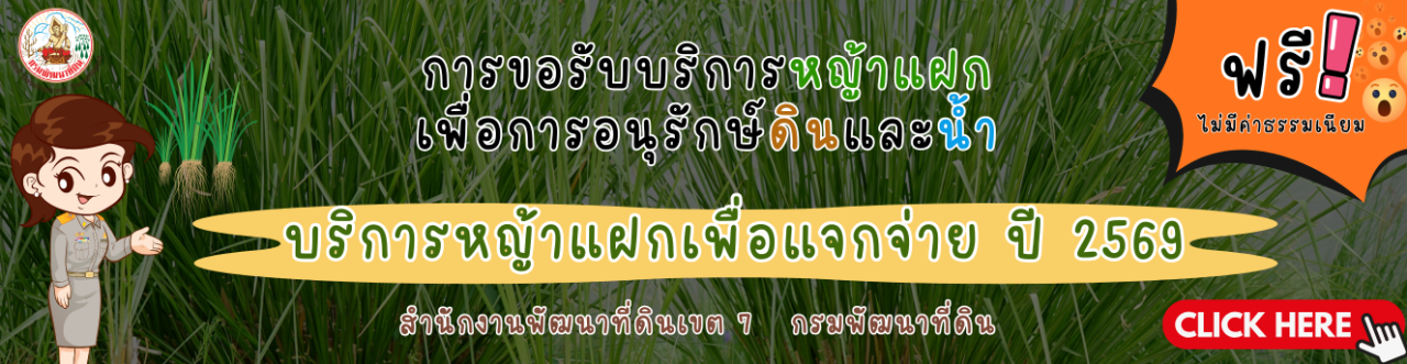 ภาพ ขั้นตอนการขอรับหญ้าแฝก