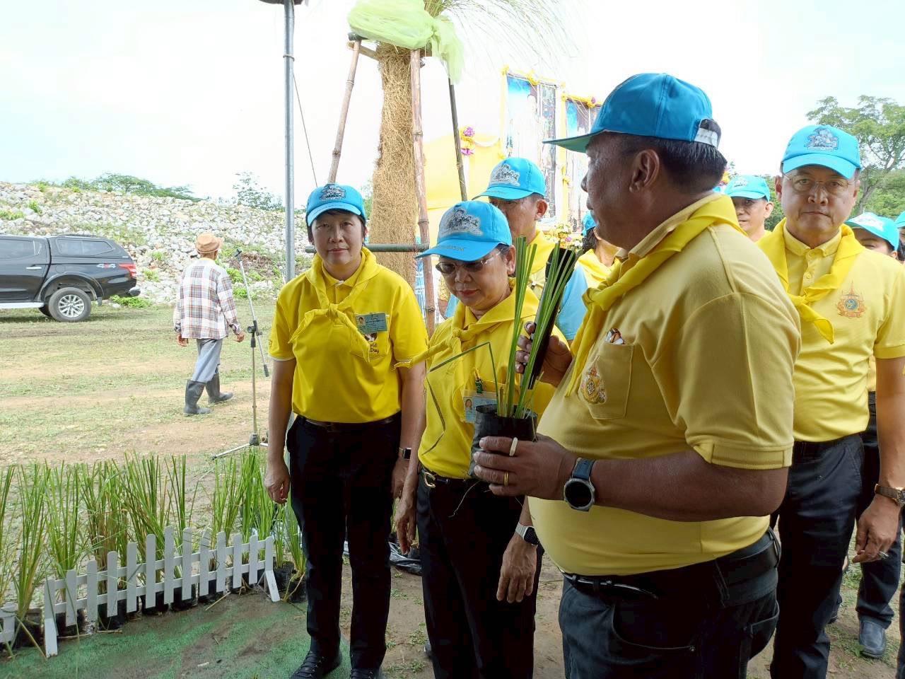 ภาพ สพด.เพชรบุรีร่วมจัดกิจกรรมจิตอาสาพัฒนา “เราทำความ ดี ด้วยหัวใจ” เนื่องในโอกาสวันคล้ายวันสวรรคตของ พระบาทสมเด็จพระบรมชนกาธิเบศร มหาภูมิพลอดุลยเดชมหาราช บรมนาถบพิตร