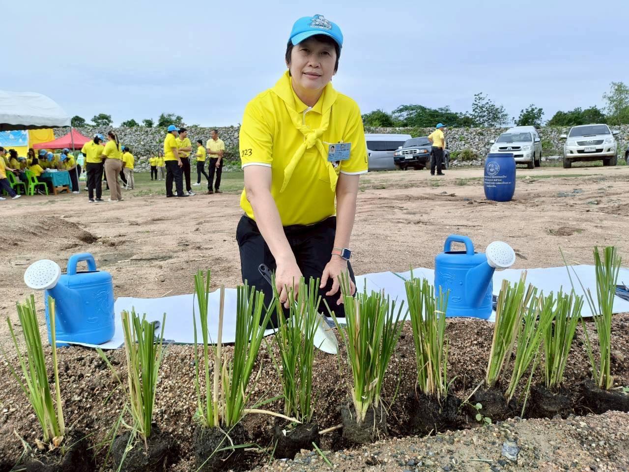 ภาพ สพด.เพชรบุรีร่วมจัดกิจกรรมจิตอาสาพัฒนา “เราทำความ ดี ด้วยหัวใจ” เนื่องในโอกาสวันคล้ายวันสวรรคตของ พระบาทสมเด็จพระบรมชนกาธิเบศร มหาภูมิพลอดุลยเดชมหาราช บรมนาถบพิตร