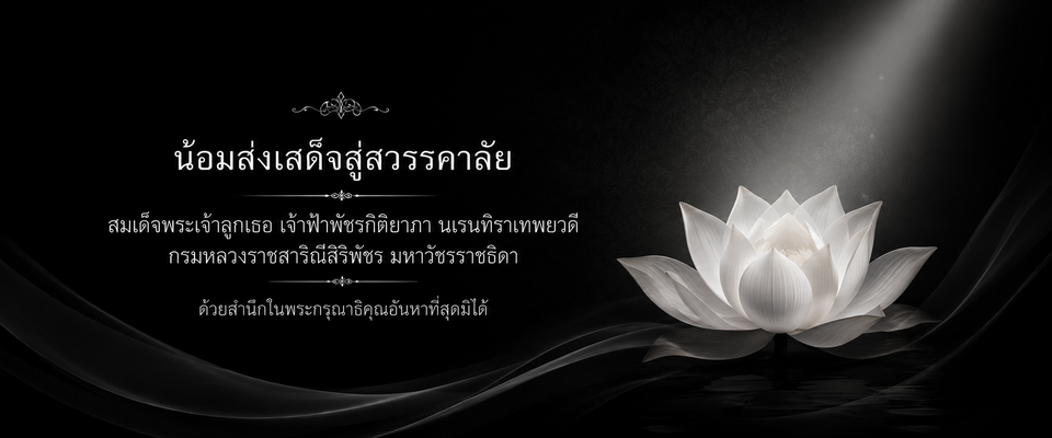 ภาพ น้อมส่งเสด็จ องค์ภาฯ