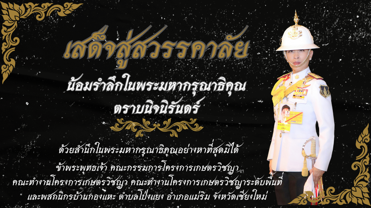 ภาพ เสด็จสู่สรรคาลัย น้อมรำลึกในพระมหากรุณาธิคุณ ตราบนิจนิรันดร์