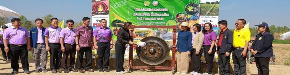 ภาพ ไถกลบตอซัง