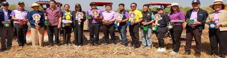 ภาพ ไถกลบตอซัง