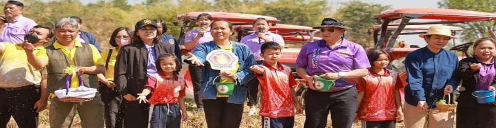 ภาพ ไถกลบตอซัง