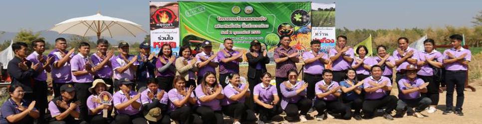 ภาพ ไถกลบตอซัง