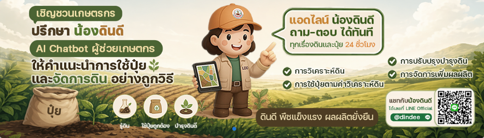 ภาพ น้องดินดี