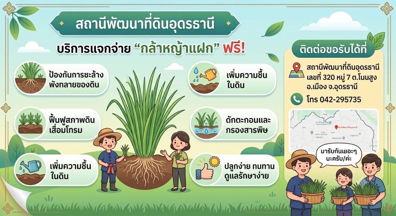 ภาพ บริการแจกกล้าหญ้าแฝก