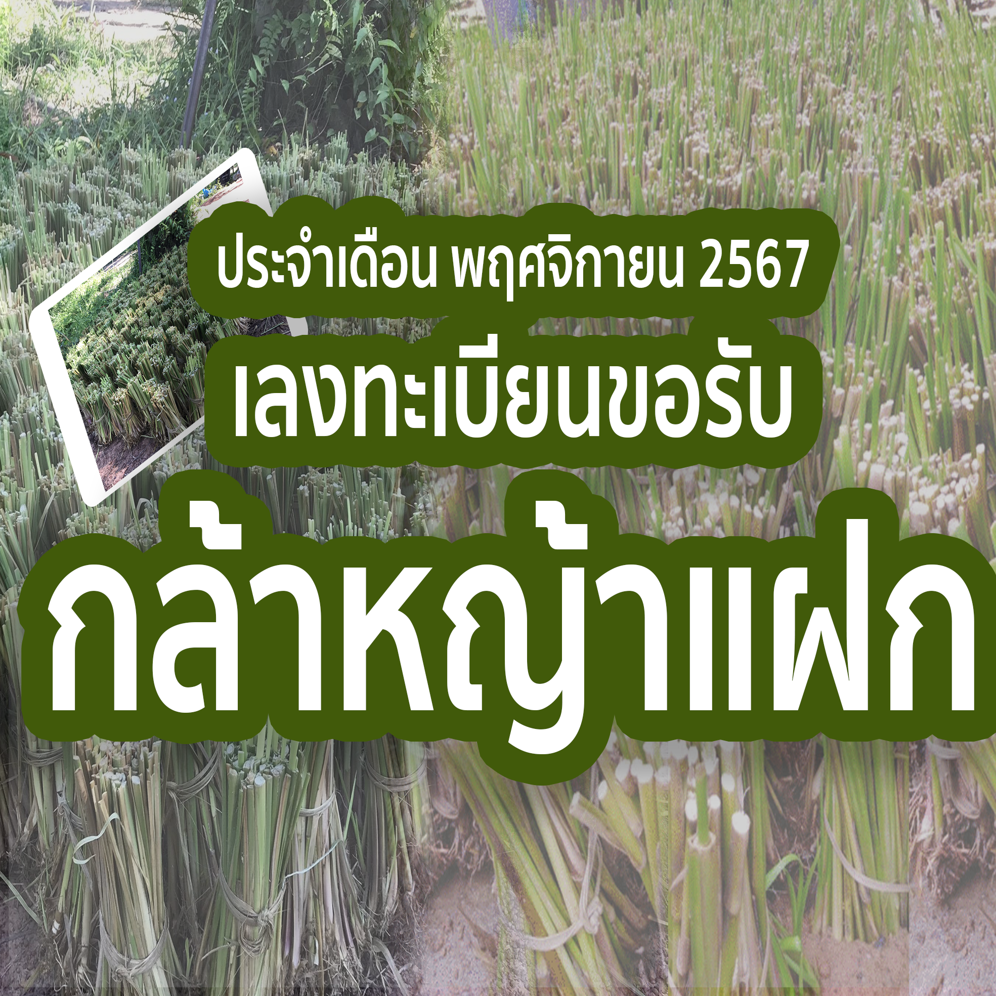 ปุ่ม 3