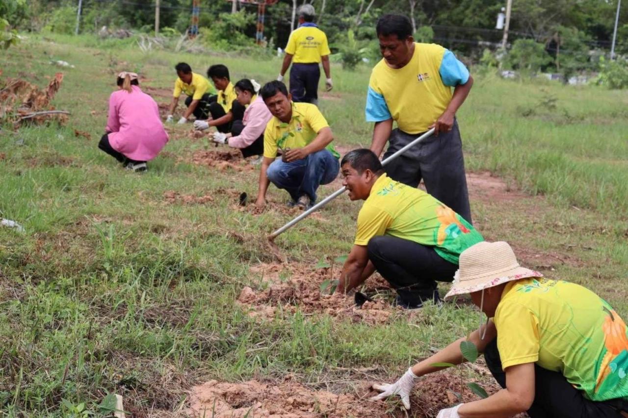 ภาพประกอบที่ 3