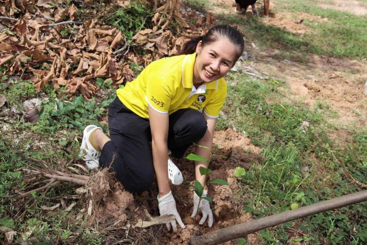 ภาพประกอบที่ 4