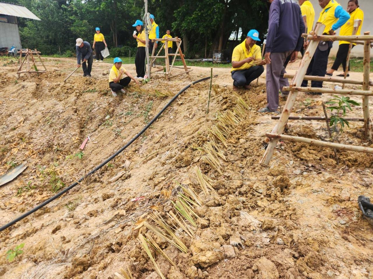 ภาพประกอบที่ 2