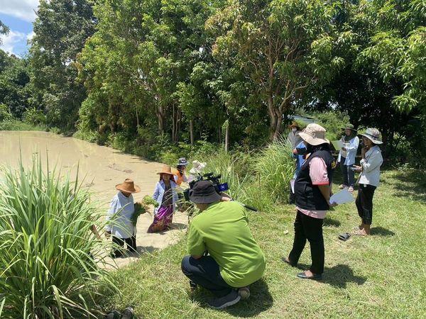 ภาพประกอบที่ 4