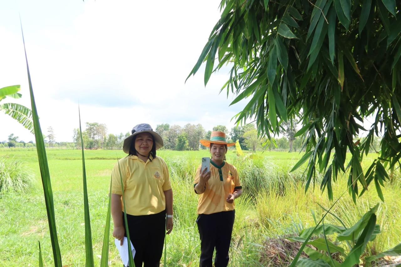 ภาพประกอบที่ 3