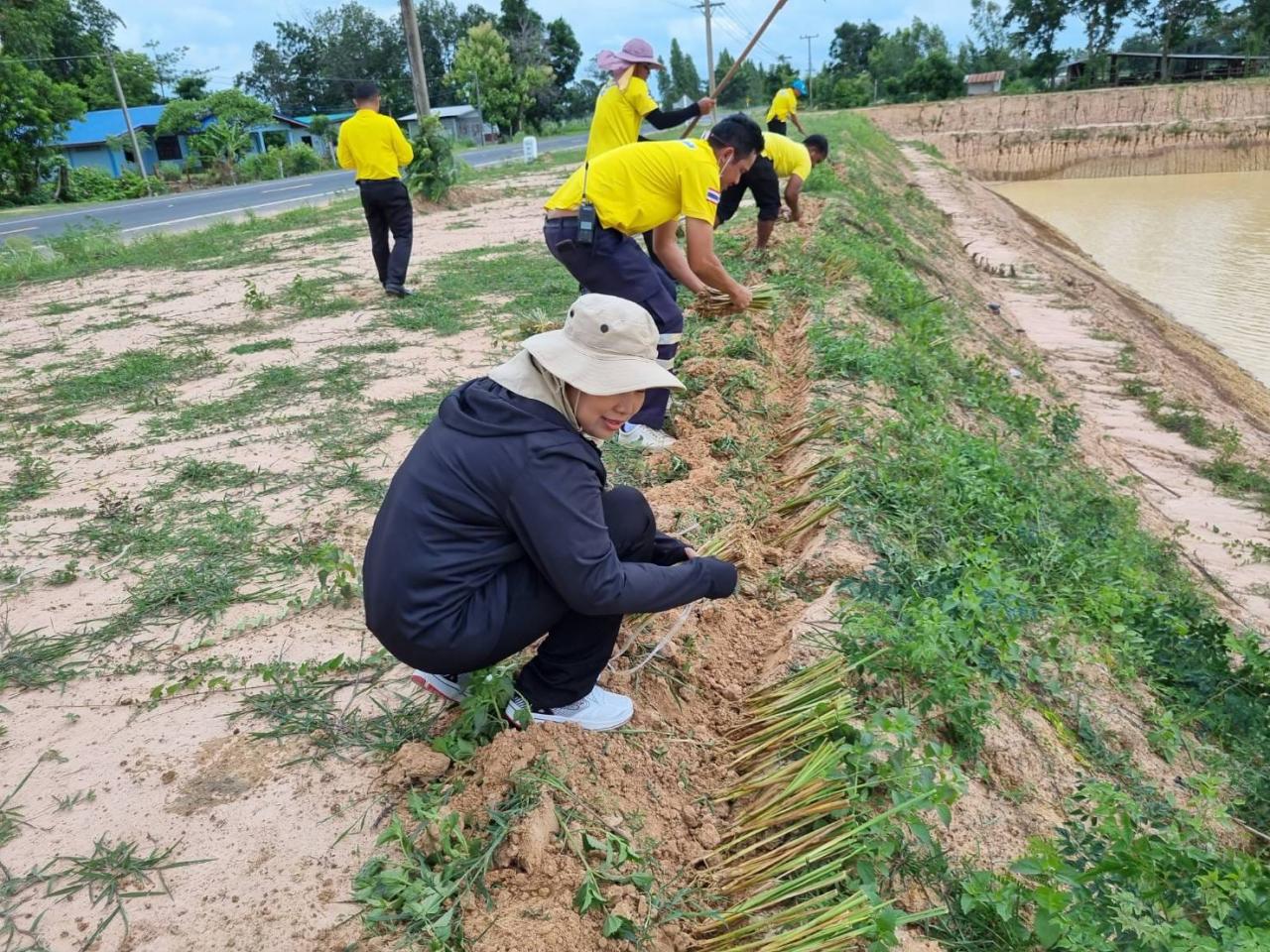 ภาพประกอบที่ 0