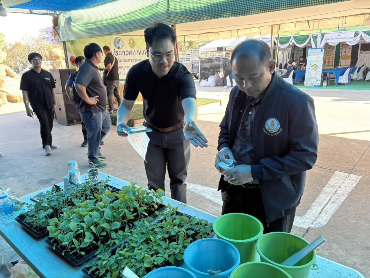 ภาพประกอบที่ 6