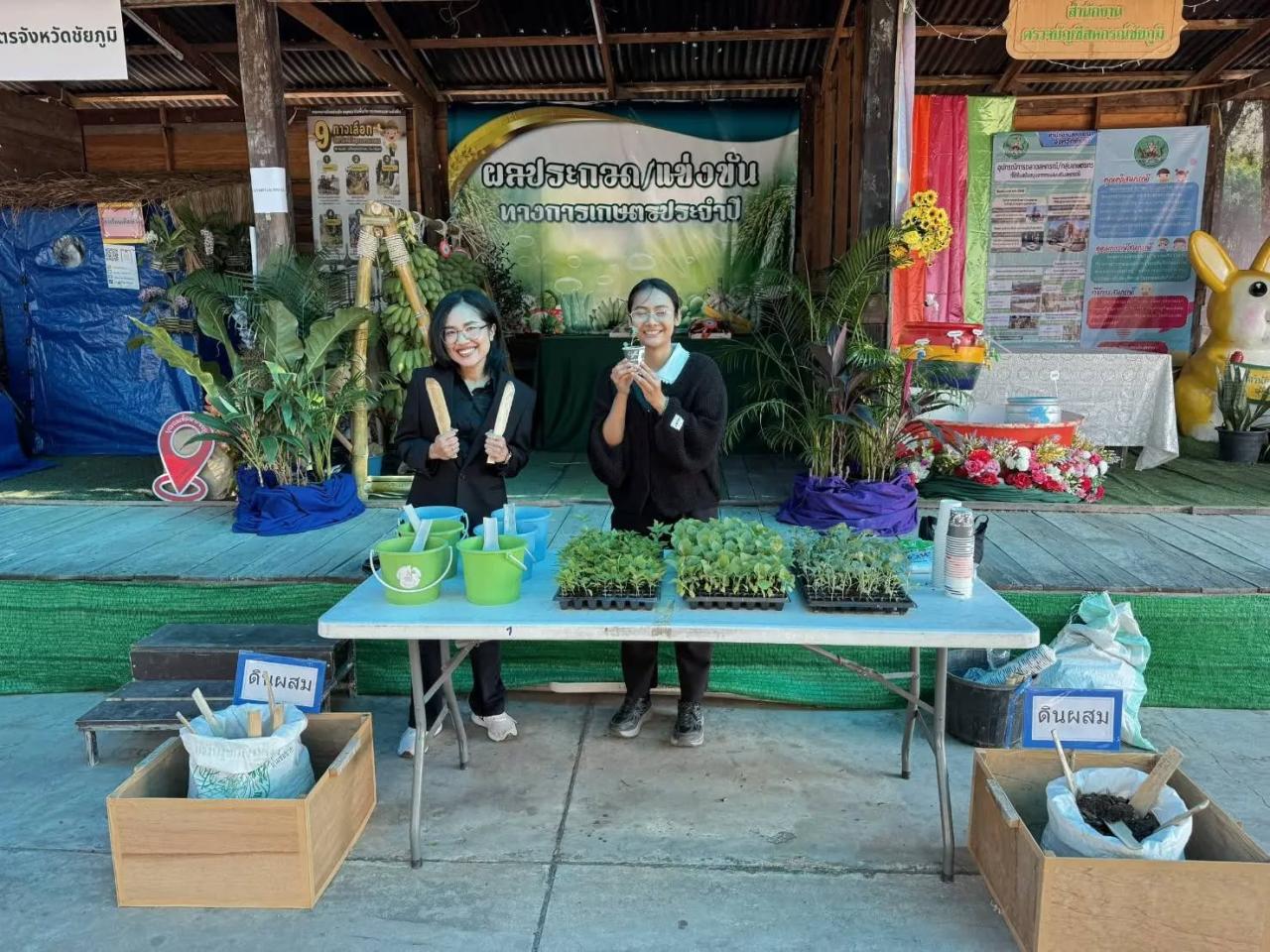 ภาพประกอบที่ 2