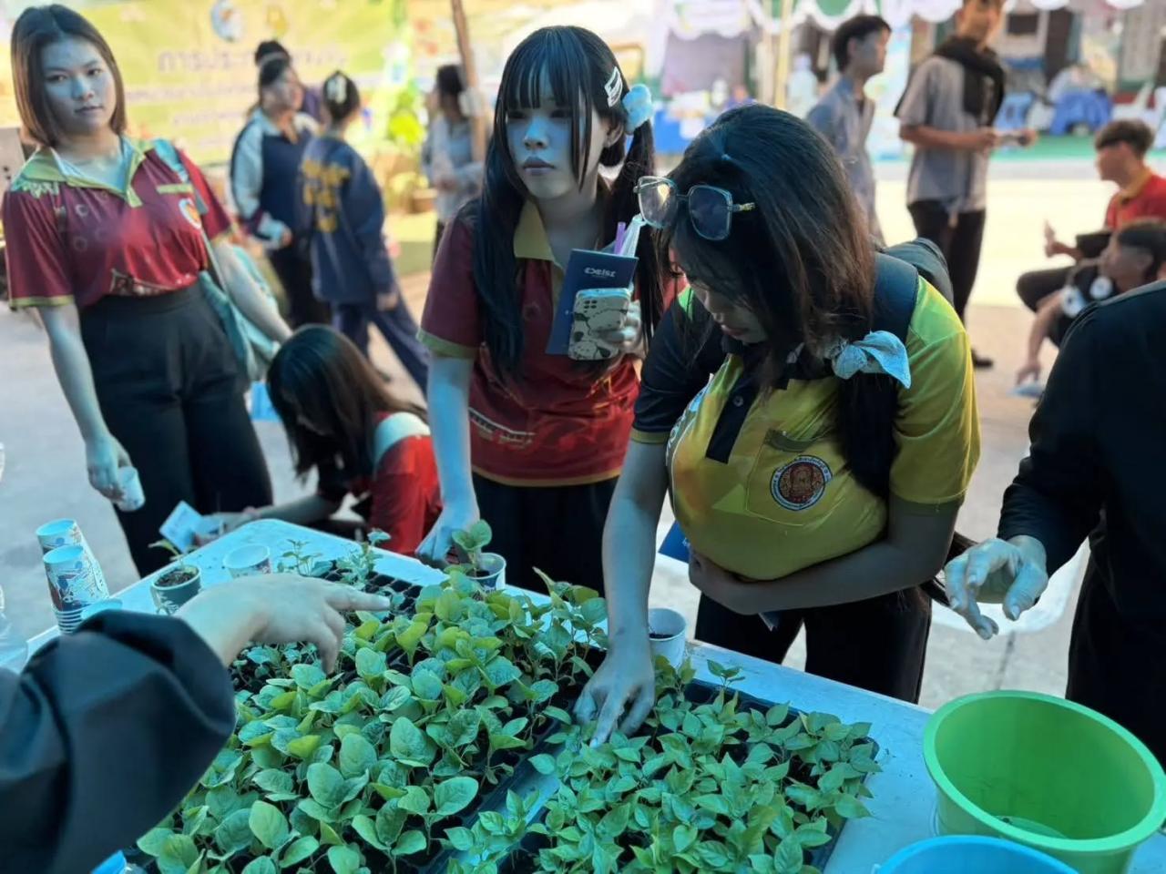 ภาพประกอบที่ 1