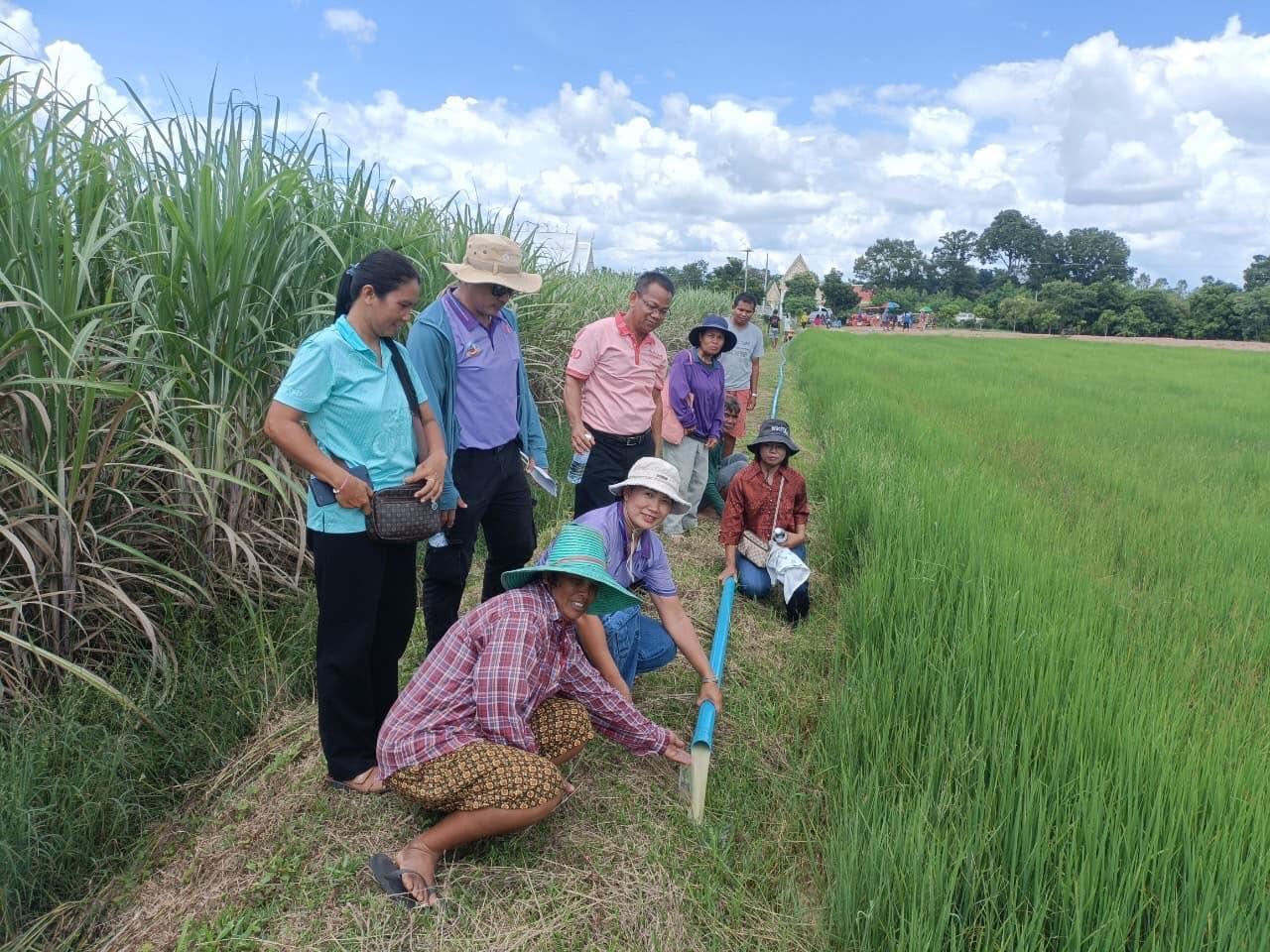 ภาพประกอบที่ 17