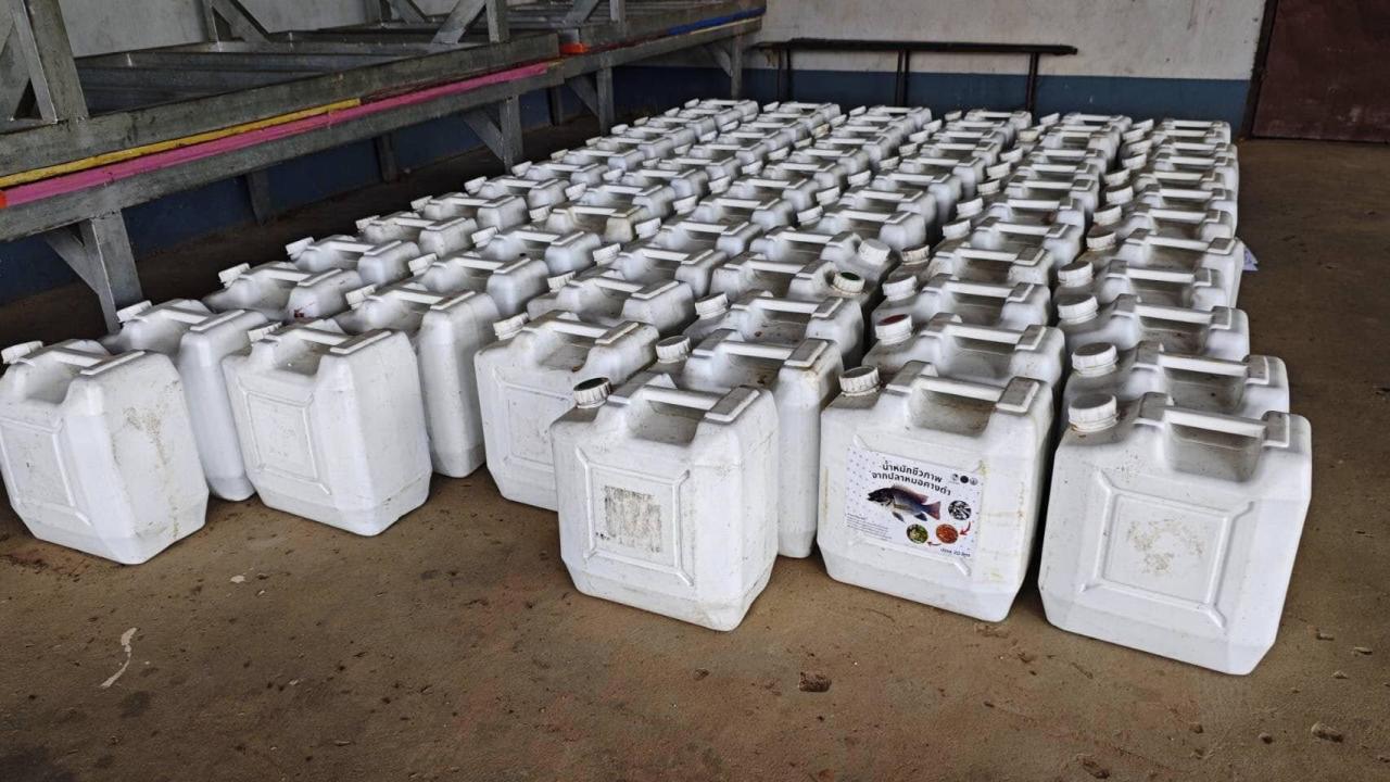 ภาพประกอบที่ 2