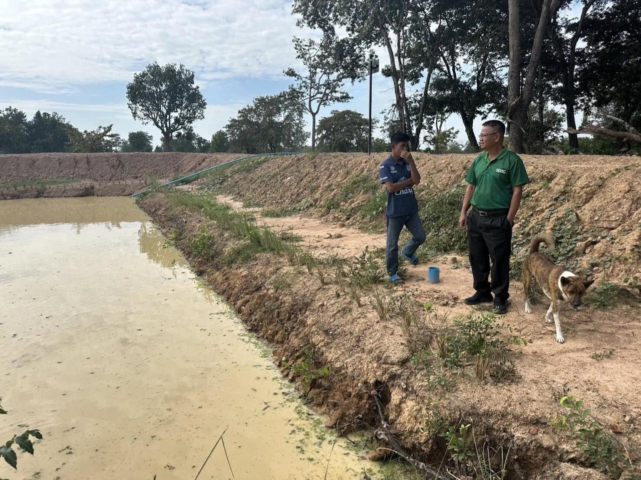 ภาพประกอบที่ 5