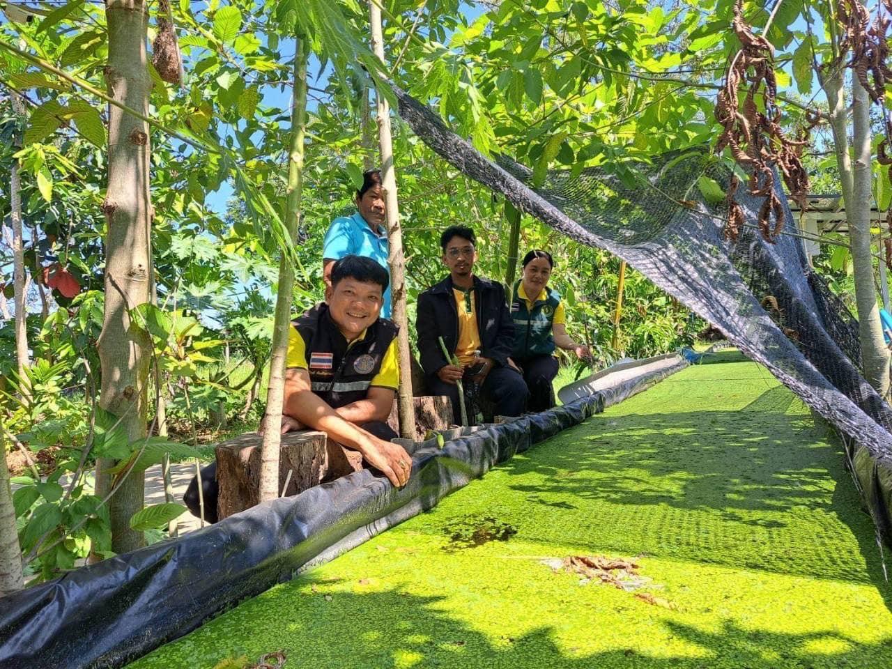 ภาพประกอบที่ 7