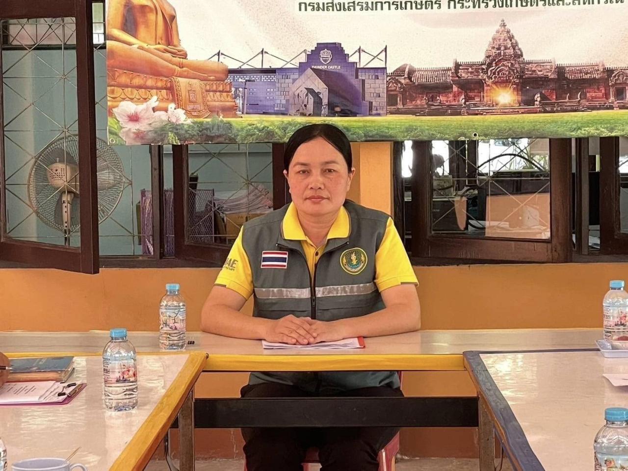 ภาพประกอบที่ 8