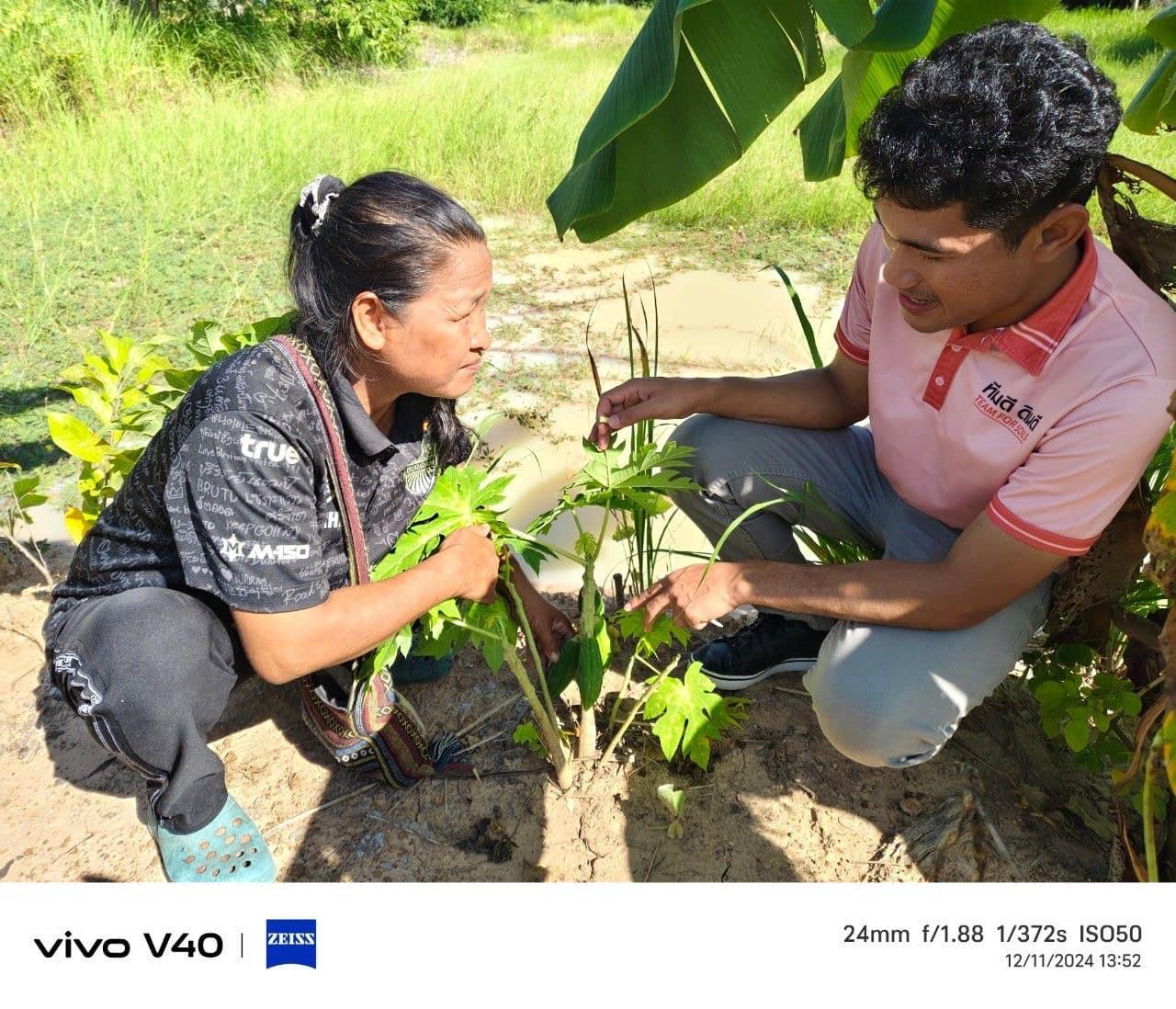 ภาพประกอบที่ 2