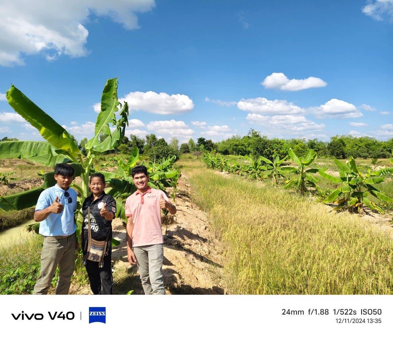 ภาพประกอบที่ 5