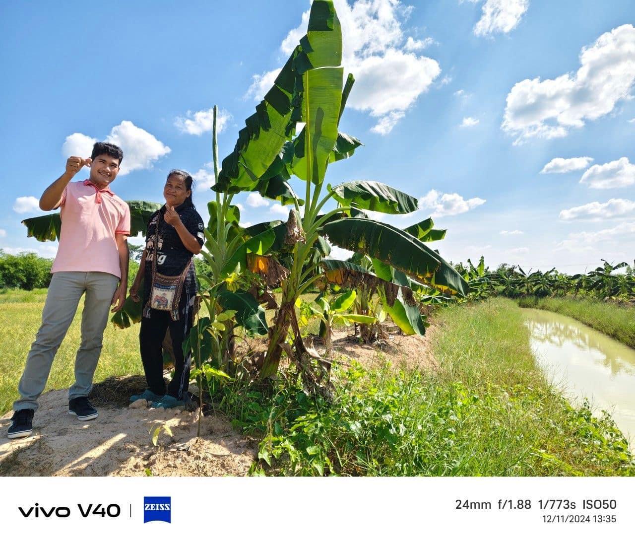 ภาพประกอบที่ 7