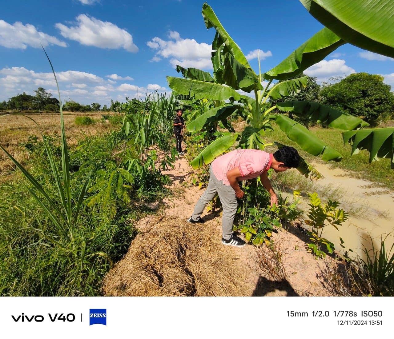 ภาพประกอบที่ 8