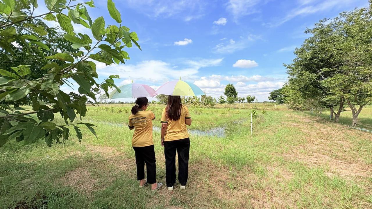 ภาพประกอบที่ 0