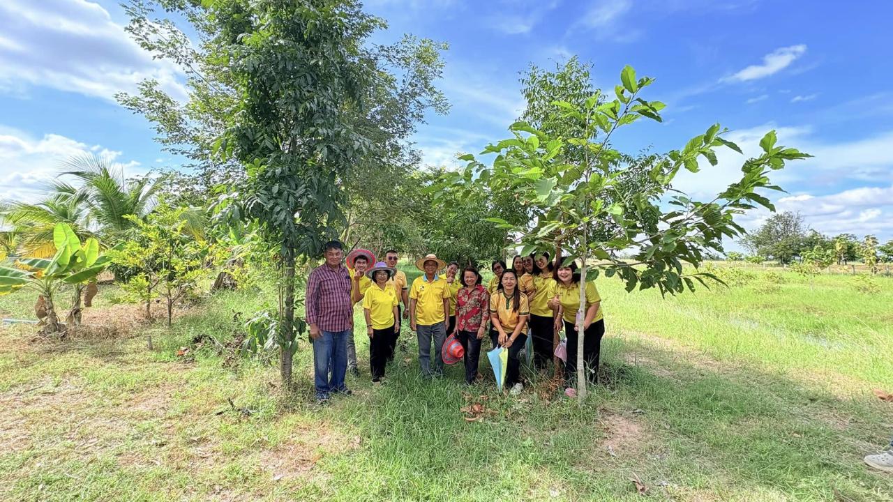 ภาพประกอบที่ 3