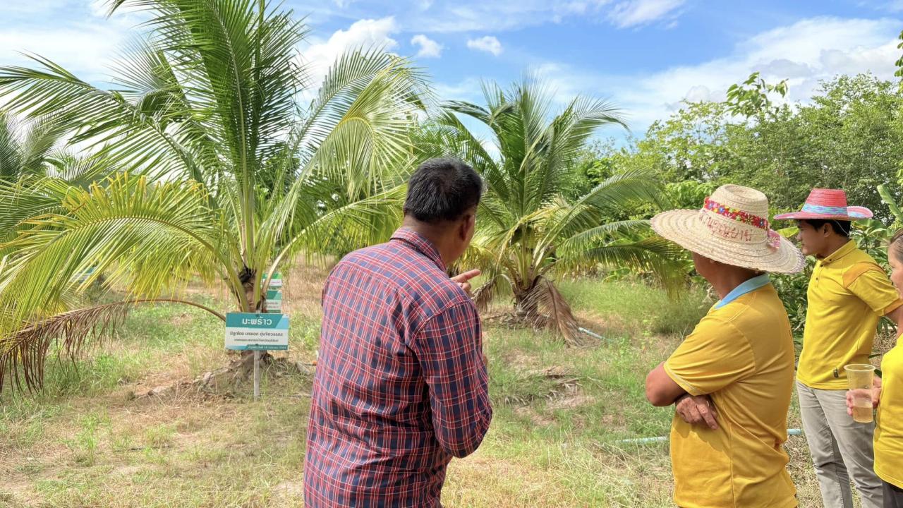 ภาพประกอบที่ 5