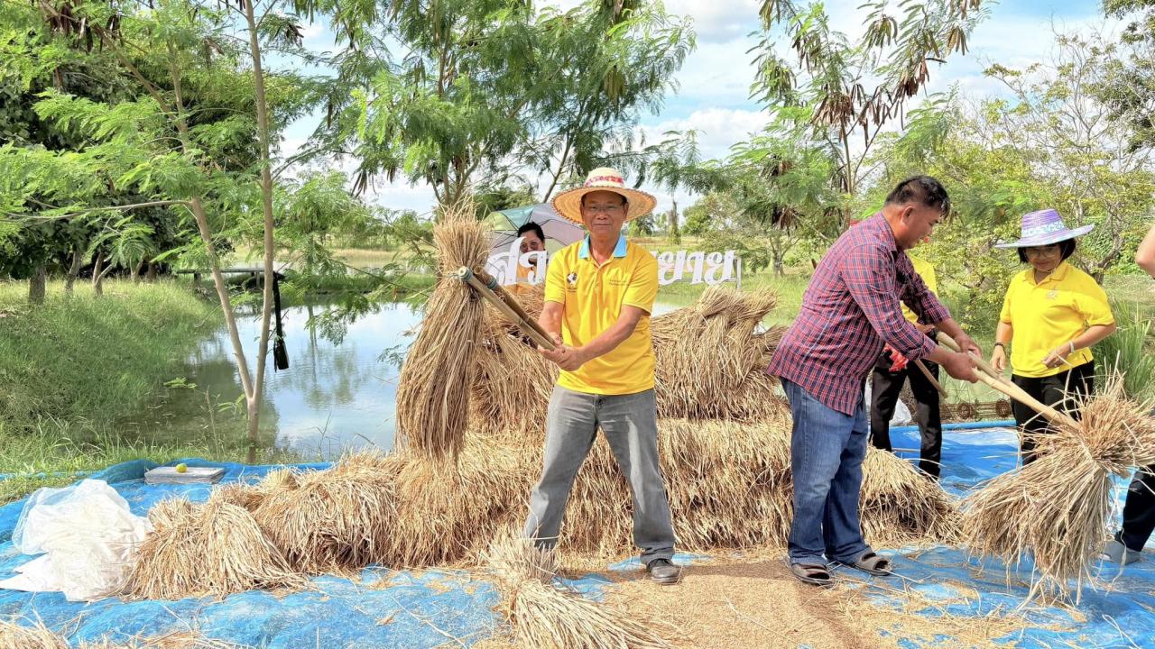 ภาพประกอบที่ 6
