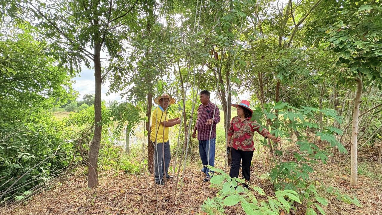 ภาพประกอบที่ 9