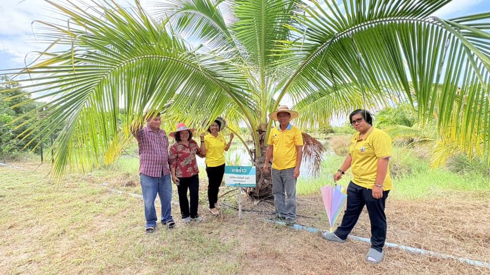 ภาพประกอบที่ 10