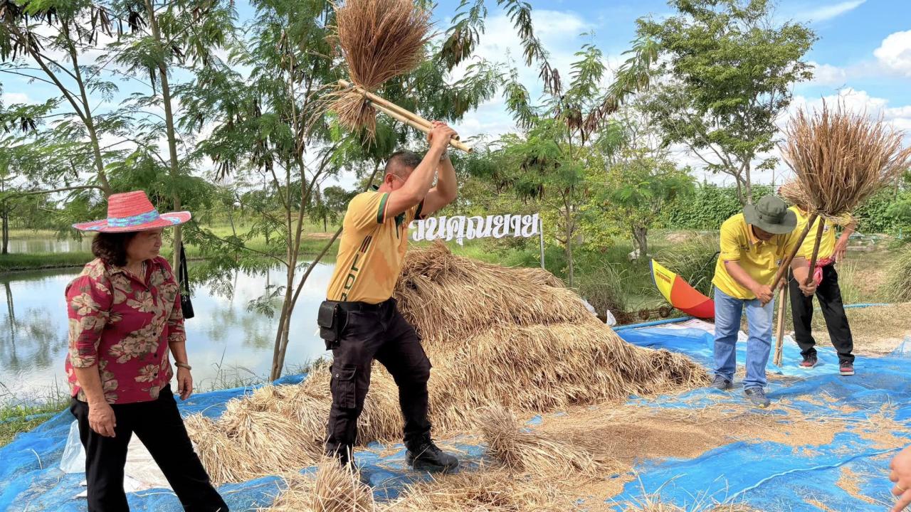 ภาพประกอบที่ 11