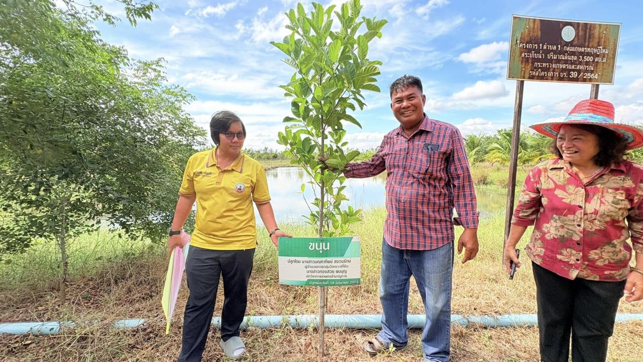ภาพประกอบที่ 13